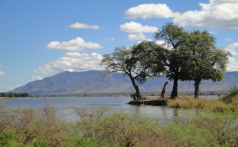 Zambia launches a new $33 million sustainable livelihoods and forest protection programme