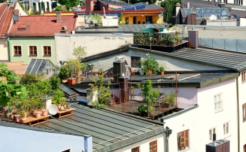 Urban farms have huge untapped potential to fight hunger